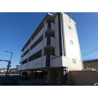 ラベンダーIVの画像