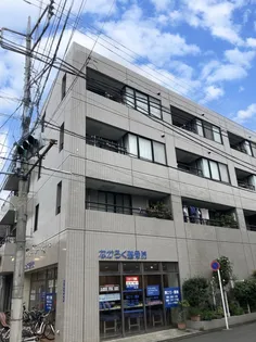 パールコートの画像