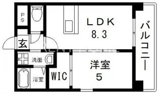 カウニス巽中【3階】の間取り