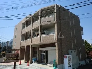 シャロン グレースの画像