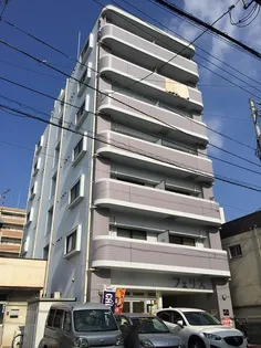 フェリスの画像