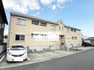 スプルースの画像