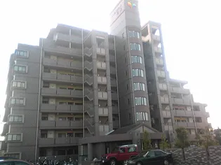 レインボー石塚の画像