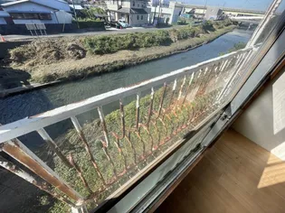 越路ハイツ【1階】の内装