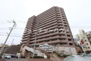 ライオンズシティ水戸の画像