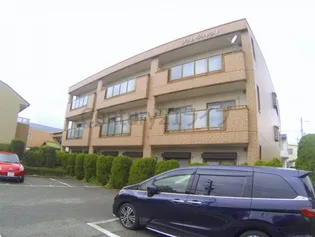 プラムフォレストの画像