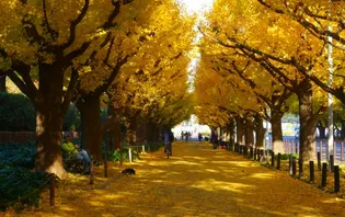 PASEO神宮前【3階】の周辺