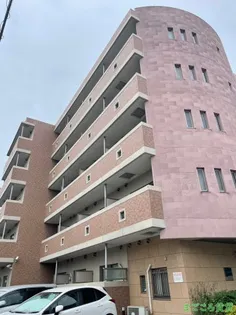 LOISIR KUSUNOKIの画像