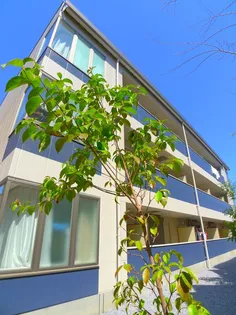 ベアグランデ【2階】の外観