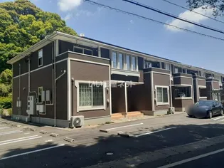 グラシアスSの画像