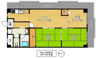 グランドール福川【8階】の間取り