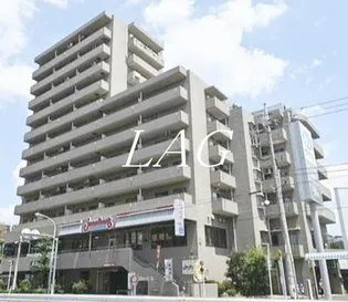 ネオ プロミネンスの画像