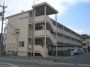 ベルメゾン錦の画像