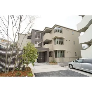 アナベルの画像