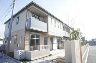 クレマチスの画像