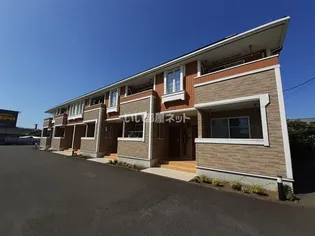 グリーン ベルの画像