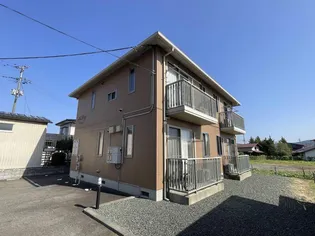 ベアピッチの画像