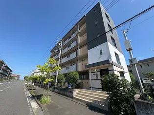 プレイズレイの画像