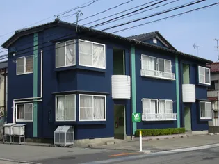 レディードールの画像