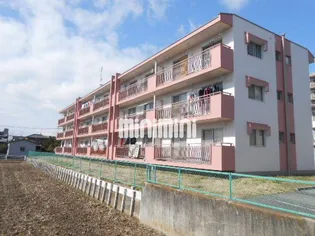 井上コーポ【1階】の外観