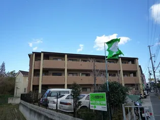 オリーブ白鷺【2階】の外観