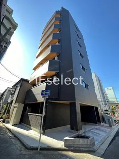 スターライトの画像