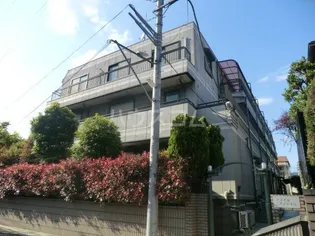 メープルマンション【1階】の外観