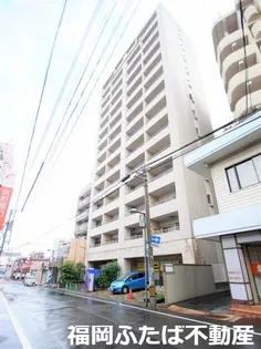 サヴォイセントオブガーデンの画像