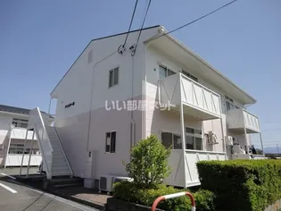 アミスターBの画像