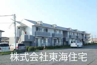 サンモールコウヤの画像