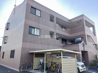 シャインエトワールの画像