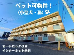 アニマーレの画像