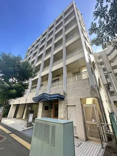 ハイフラットワンの画像