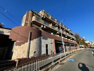 ベルベデールの画像