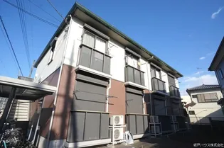 ステラ ヒロの画像