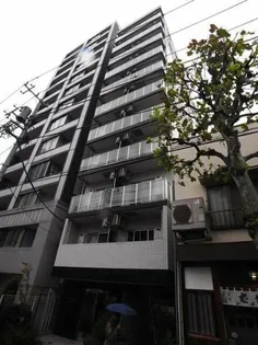 セジョリ錦糸町の画像