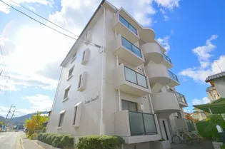 シャイニングコンポN【4階】の外観