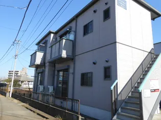 レイ コトーの画像