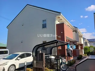 グレーステンダーの画像
