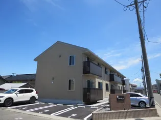 ドルシオーレの画像