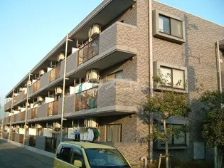 パオ ヤマニシの画像