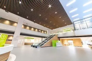 アルカコンネ大工【4階】の周辺