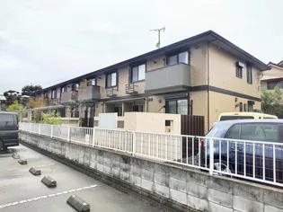 サフランの画像