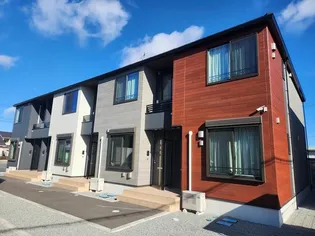 プラシードHの画像