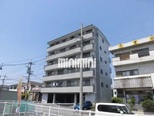 アネックスヤブタの画像