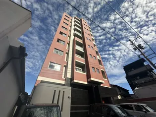 ラファエロの画像