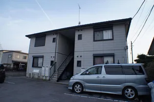 フリージアの画像