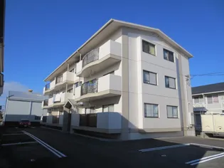 ブルーベルの画像