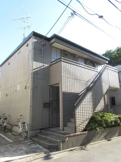 ROSA RUGOSAの画像