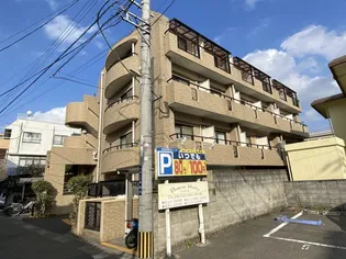 ヴィレッジ星【3階】の外観